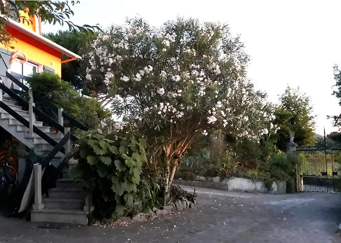 Casa Gwendoline - Albergue / Hostel / Al - Caminho Da Costa