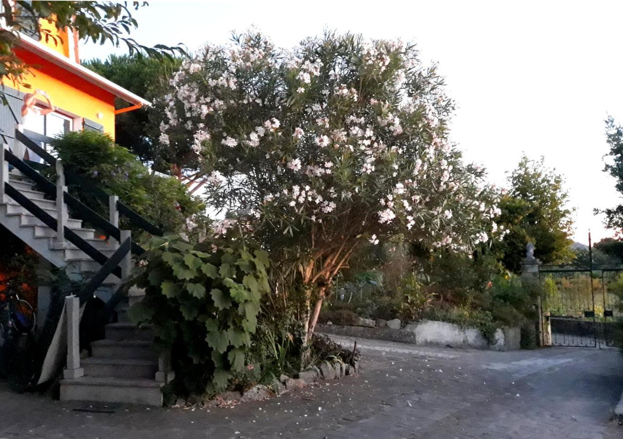Pensión Casa Gwendoline - / / Al - Caminho Da Costa *